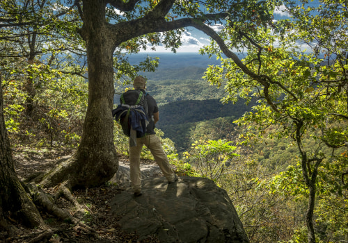 Exploring the Natural Beauty of Hapeville, GA: A Guide to Hiking Trails